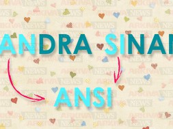 andra sinan - ansi