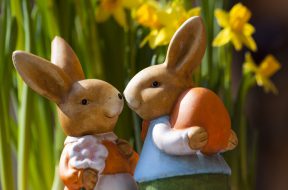 easter-bunny-easter-rabbit-bunny-couple-69816