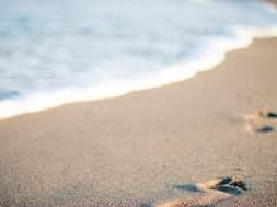 2017-07-27 17_37_50-Free stock photo of beach, salt water, sand