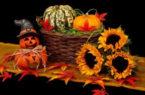 2017-10-31 15_33_52-Free stock photo of autumn, decoration, fall