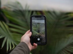 person-holding-iphone-taking-photo-of-green-leaf-plant-3846225