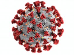 coronavirus-3992933-1