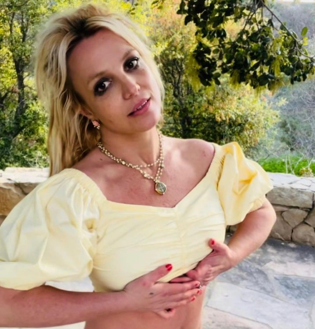 Britney Spears ndalohet nga policia, çfarë bëri këtë herë këngëtarja