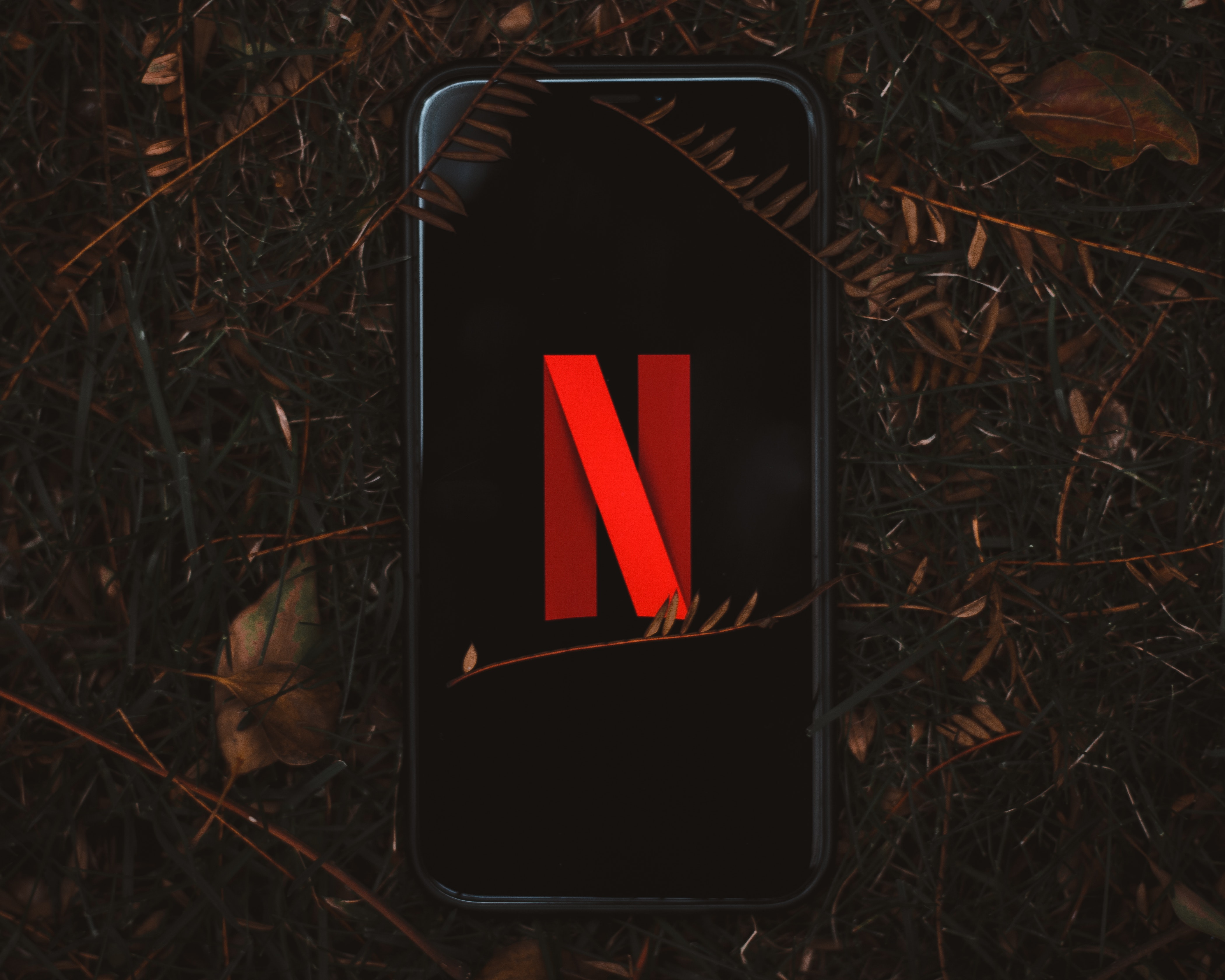 Ndëshkoi ndarjen e fjalëkalimeve, rriten regjistrimet në Netflix