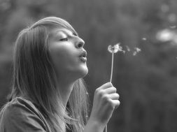 the young girl blowing the dandelion - flower