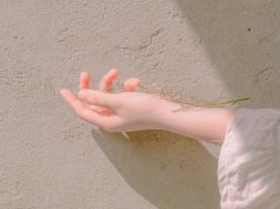 Cropped Hand With Twig Against Wall