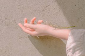 Cropped Hand With Twig Against Wall